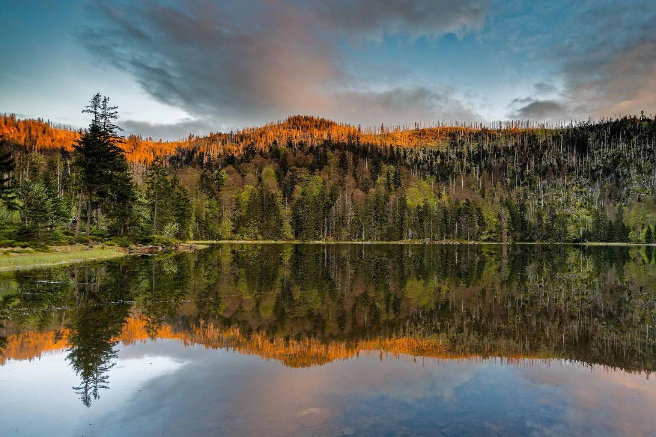 Ferienwohnung Im Landhaus Am Nationalpark Ludwigsthal Luaran gambar