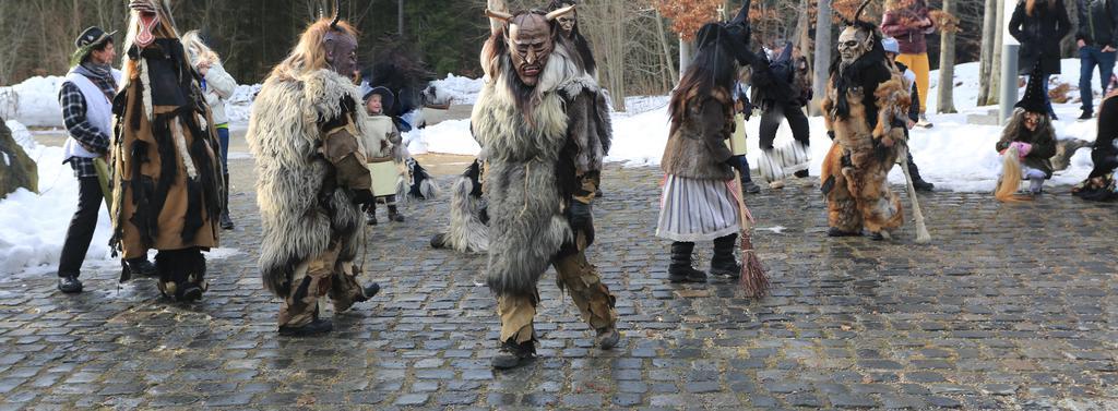 Ferienwohnung Im Landhaus Am Nationalpark Ludwigsthal Luaran gambar