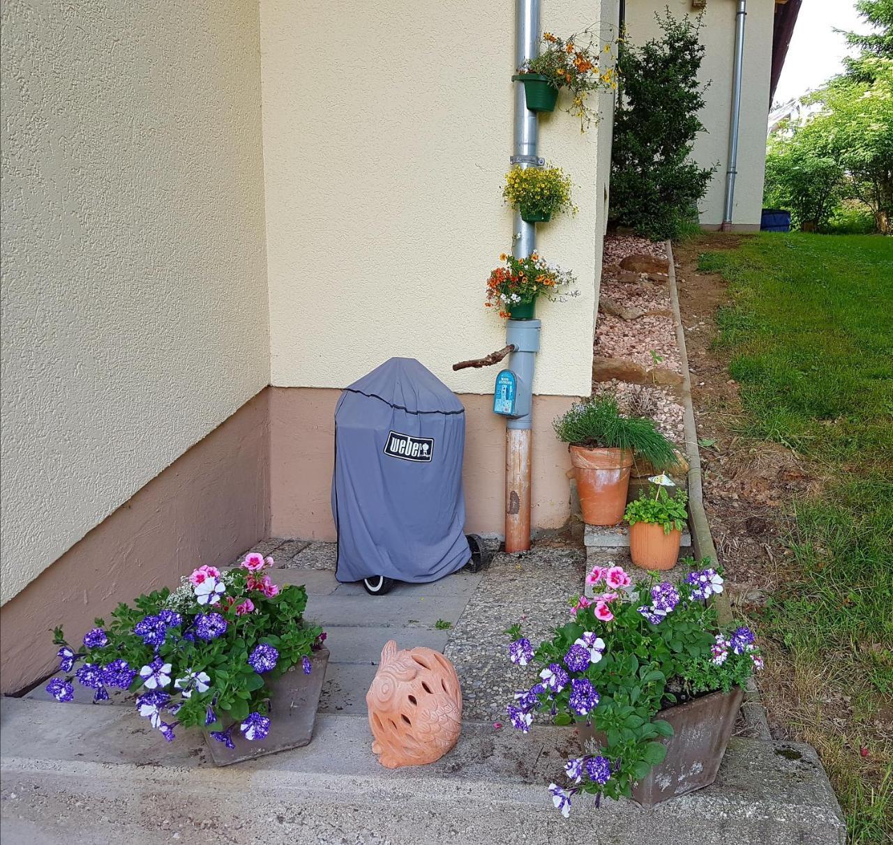 Ferienwohnung Im Landhaus Am Nationalpark Ludwigsthal Luaran gambar